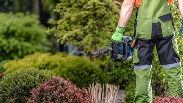 The Benefits of Professional Landscape Maintenance in Northern Beaches Sydney