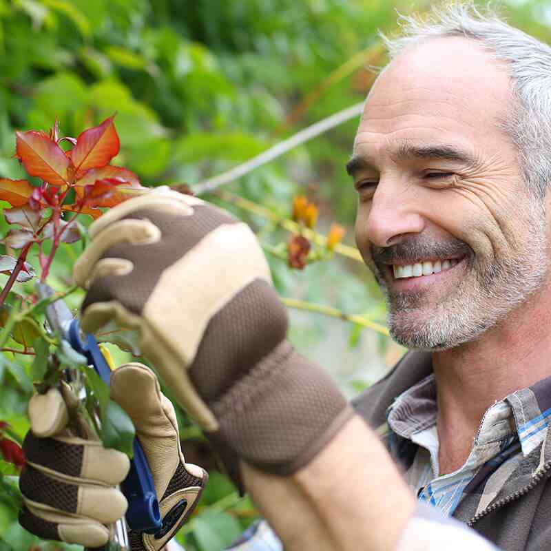 team_02 https://mothernatureslandscapes.com.au/wp-content/uploads/2019/02/team_02.jpg