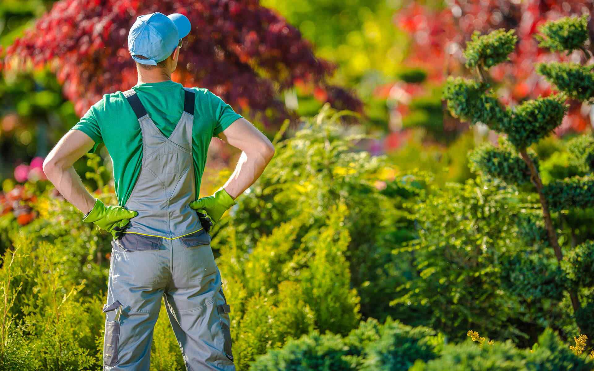 inner_02_home_02 https://mothernatureslandscapes.com.au/wp-content/uploads/2019/08/inner_02_home_02.jpg