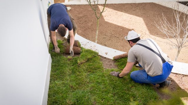 Common Landscaping Mistakes and How to Avoid Them