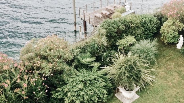 Beachfront Beauty: Creating Low-Maintenance Coastal Gardens