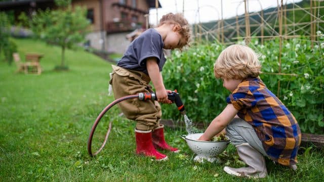 Creating a Kid-Friendly Garden on Northern Beaches