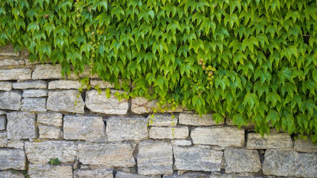 How to Build Affordable Retaining Walls in Your Garden