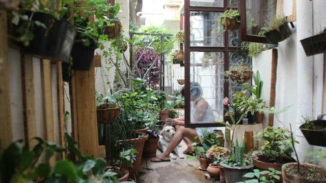How to Make the Most of a Small Garden Space