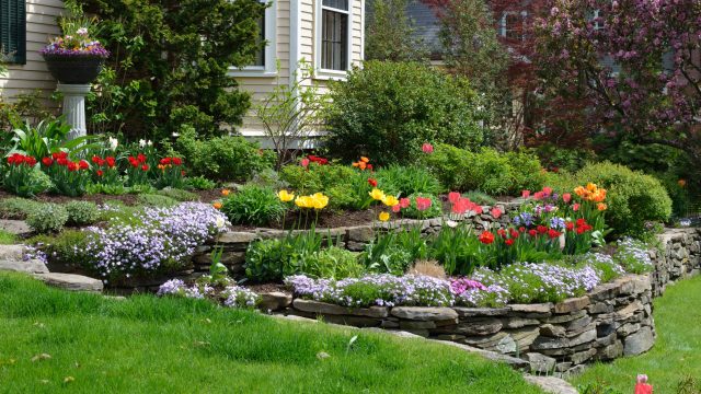 How to Select Quality Landscaping Services in North Shore