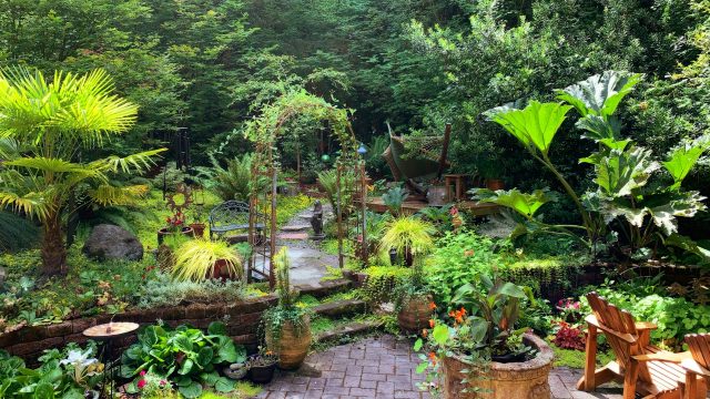 Best Practices for Landscape Design in North Shore Homes