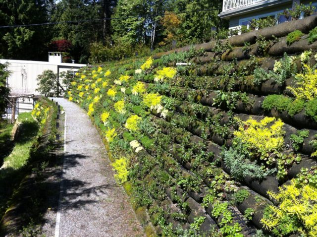 Living Walls & Vegetated Retaining