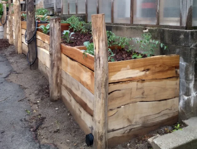 Reclaimed Wood and Pallets