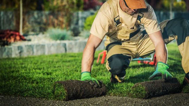 Landscapers in Sydney: What to Expect and How to Prepare