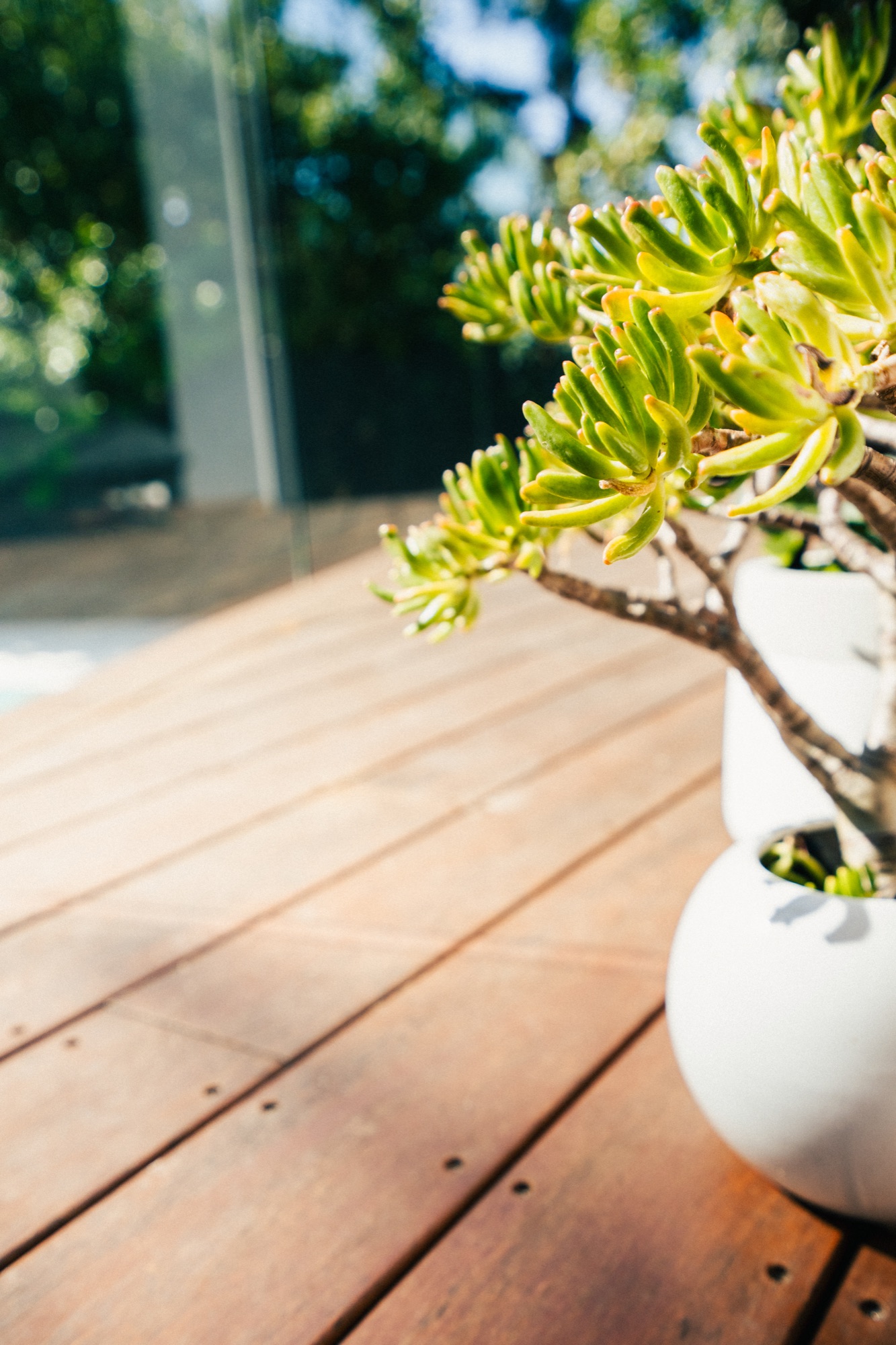 deck-planting-detail-landscaping Timber deck and potted plant landscaping detail