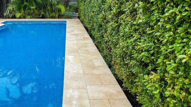 Local Pool Renovations Northern Beaches: Cracks & Repairs