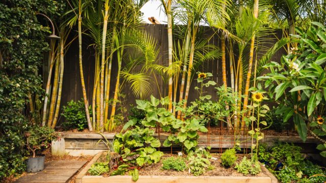 5 Creative Garden Water Feature Ideas You Should Try