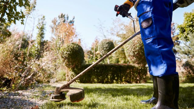 Effective Lawn Care Tips for Pymble Residents