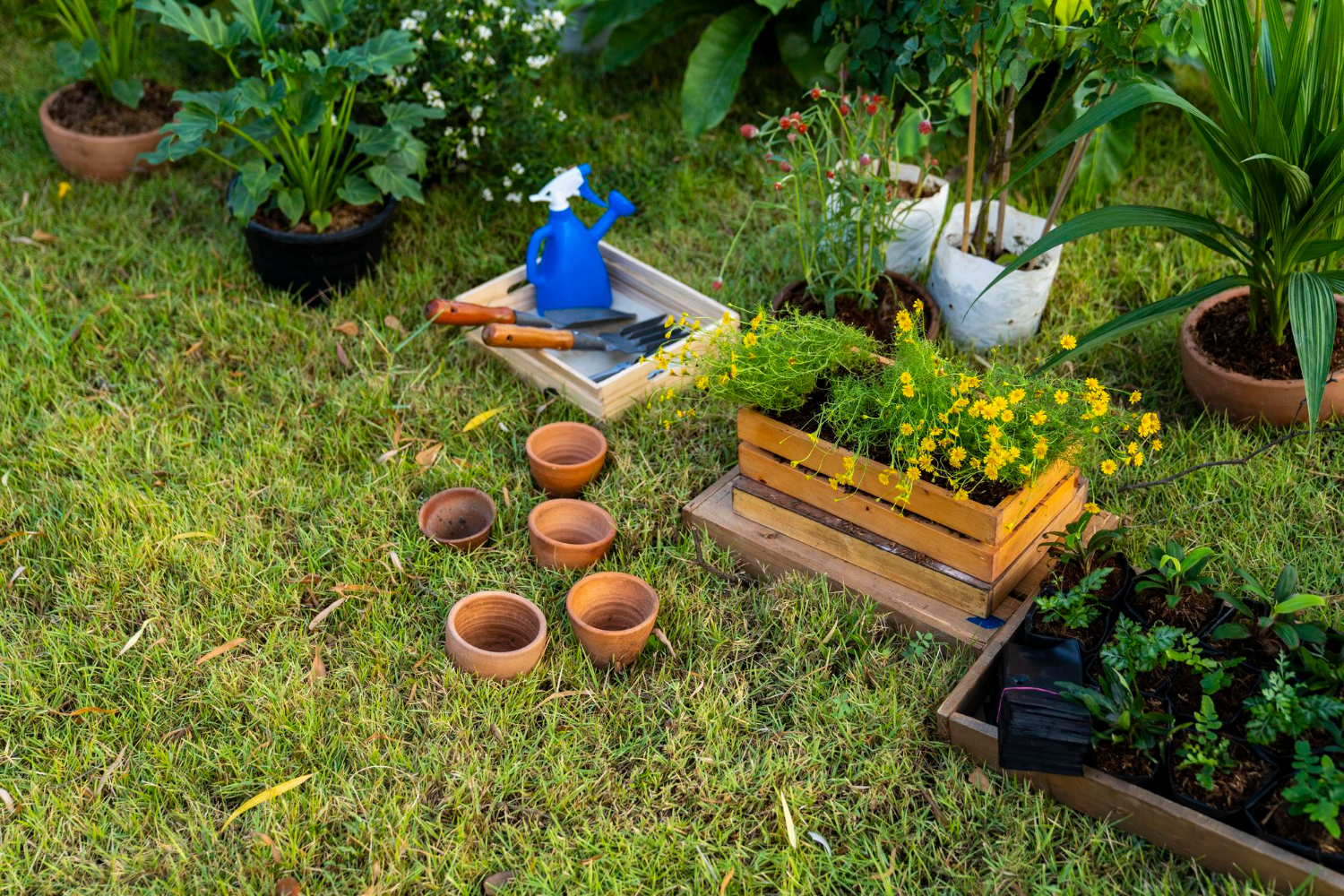 29283916 https://mothernatureslandscapes.com.au/wp-content/uploads/2928/91/29283916.jpg