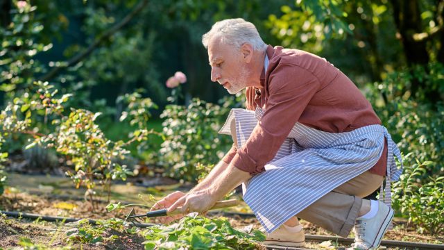 5 Landscaping Ideas for Small Northern Beaches Gardens