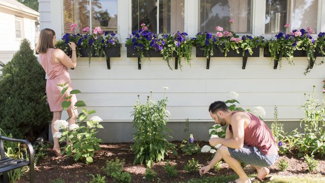 Simple Steps to Creating a Low-Maintenance Garden in Wahroonga