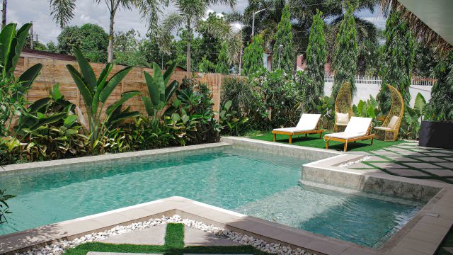 Spruce Up Your Pool Area With These 7 Gorgeous Plants