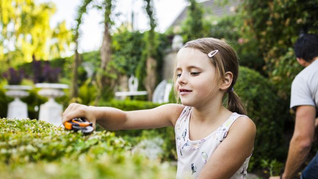 A Guide to Creating a Kid-Friendly Garden in Lindfield
