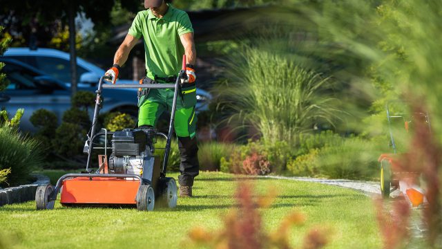 North Shore Lawn Care Guide 2024