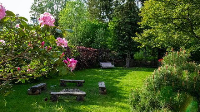 Backyard Garden Ideas That Won’t Break Your Budget