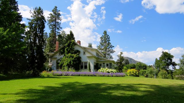 3 Types Of Landscaping Styles to Consider for Your Yard